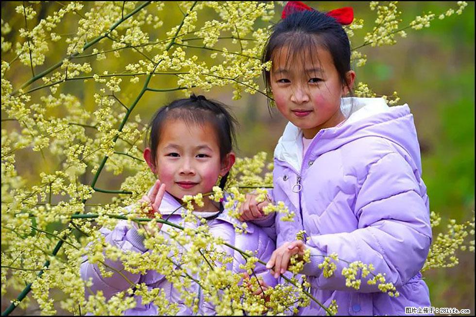 【春天，广西桂林灌阳县向您发出邀请！】米珠山前有片山苍子花在飘香 - 游山玩水 - 四平生活社区 - 四平28生活网 sp.28life.com