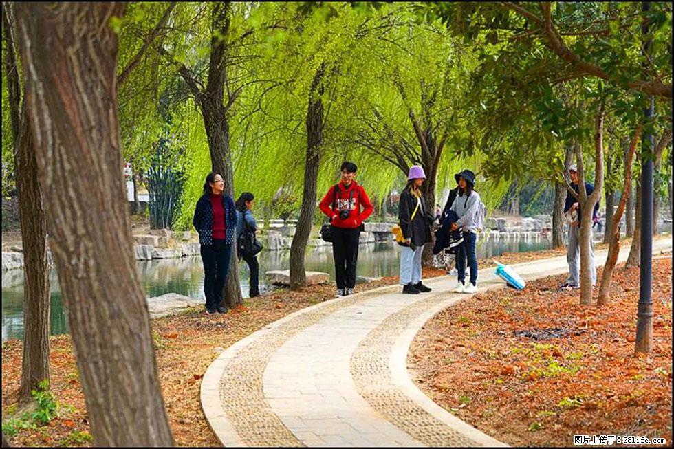 【春天,广西桂林灌阳县向您发出邀请!】江口老街又逢春 - 游山玩水 - 四平生活社区 - 四平28生活网 sp.28life.com