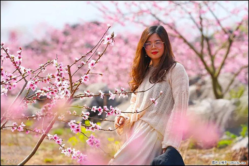 【春天,广西桂林灌阳县向您发出邀请!】望月岭上桃花开 - 游山玩水 - 四平生活社区 - 四平28生活网 sp.28life.com