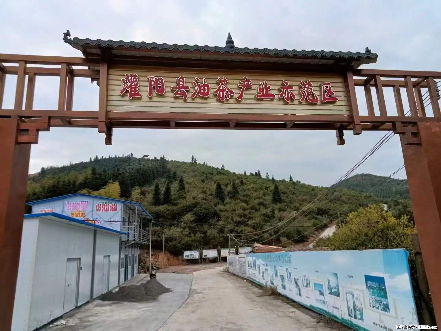 【灌阳县油茶产业示范区】一个有着充实的精神生活的人，对待身外之物自会有一种淡泊的态度 - 土特产 - 饮食特产 - 四平分类信息 - 四平28生活网 sp.28life.com