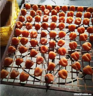 广西桂林平乐桥亭【柿饼之乡】2025年纯手工制作、无任何添加剂的第一批柿饼准备上市了，欢迎联系订购！ - 四平28生活网 sp.28life.com