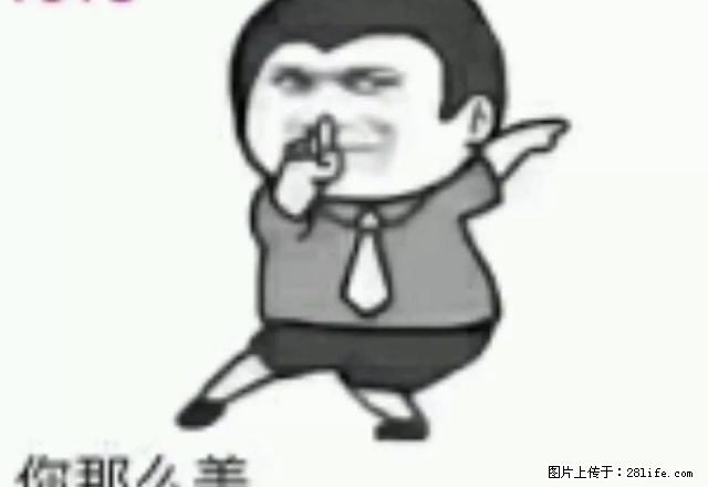紧邻高铁火车站,万达商业中心,植物园,东方小区,好房招租了! - 房屋出租 - 房屋租售 - 四平分类信息 - 四平28生活网 sp.28life.com