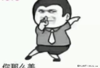 紧邻高铁火车站,万达商业中心,植物园,东方小区,好房招租了! - 四平28生活网 sp.28life.com