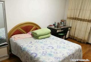 大鹰以北，紧邻1中，学院市场，北二小区，经典户型，招租了！ - 四平28生活网 sp.28life.com