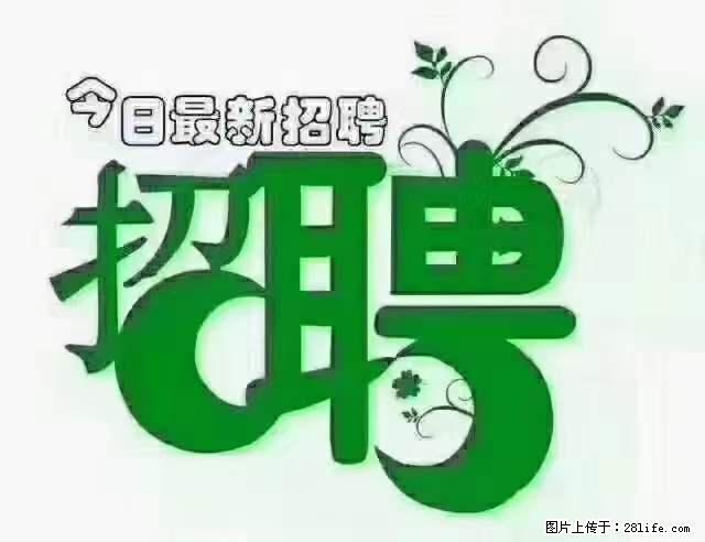 【招聘摄像师】待遇:试用期6000元/月,转正7000元/月+五险一金+餐补+节日福利+奖金 - 职场交流 - 四平生活社区 - 四平28生活网 sp.28life.com