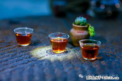 时间果百年古树2025年春红茶 - 购物交流 - 四平生活社区 - 四平28生活网 sp.28life.com