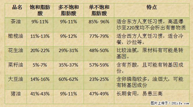 揭秘茶油的5大核心营养成分!被称为人体健康的“守护盾”! - 四平生活资讯 - 四平28生活网 sp.28life.com