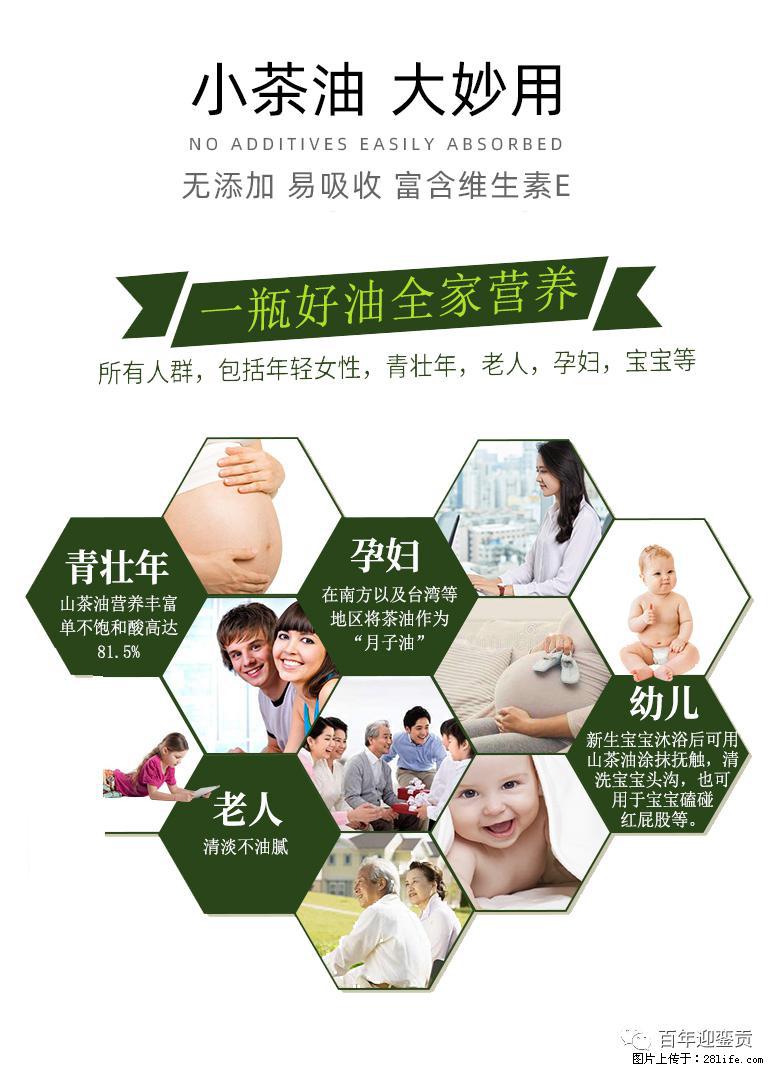 世界没有真相,只有认知,最好的食用油是中国的山茶油! - 四平生活资讯 - 四平28生活网 sp.28life.com
