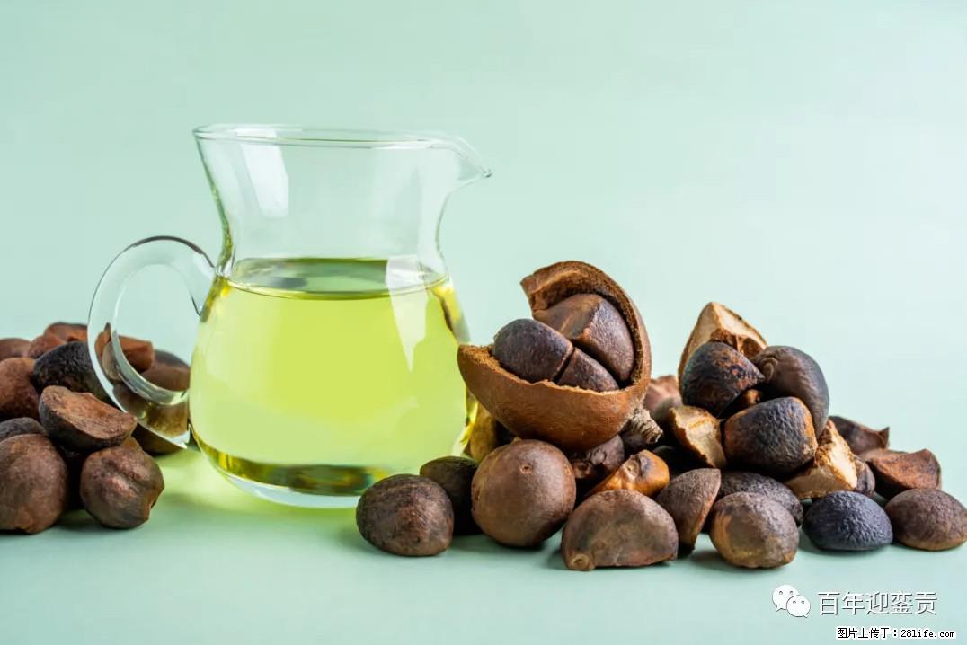 世界没有真相，只有认知，最好的食用油是中国的山茶油！ - 四平生活资讯 - 四平28生活网 sp.28life.com