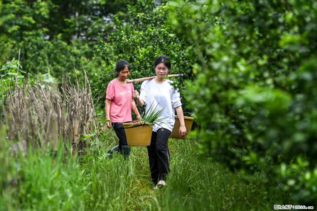 全网追的“扁担女孩”,找了一份暑假工,时薪12元 - 四平生活资讯 - 四平28生活网 sp.28life.com