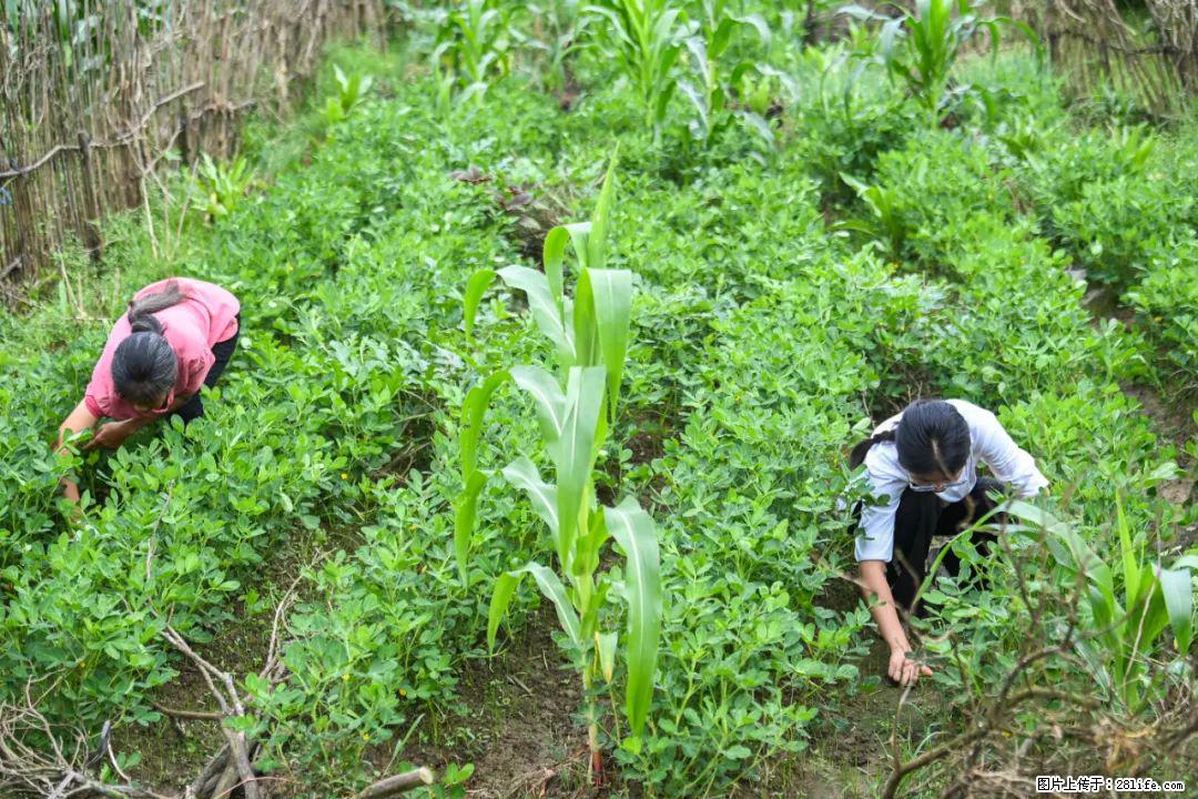 全网追的“扁担女孩”,找了一份暑假工,时薪12元 - 四平生活资讯 - 四平28生活网 sp.28life.com