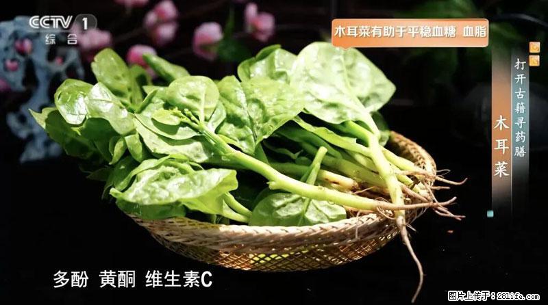 比牛奶补钙还厉害!凉血解毒、稳血糖...这菜冬天必吃,很多人却当草 - 四平生活资讯 - 四平28生活网 sp.28life.com