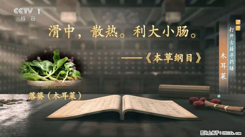 比牛奶补钙还厉害!凉血解毒、稳血糖...这菜冬天必吃,很多人却当草 - 四平生活资讯 - 四平28生活网 sp.28life.com