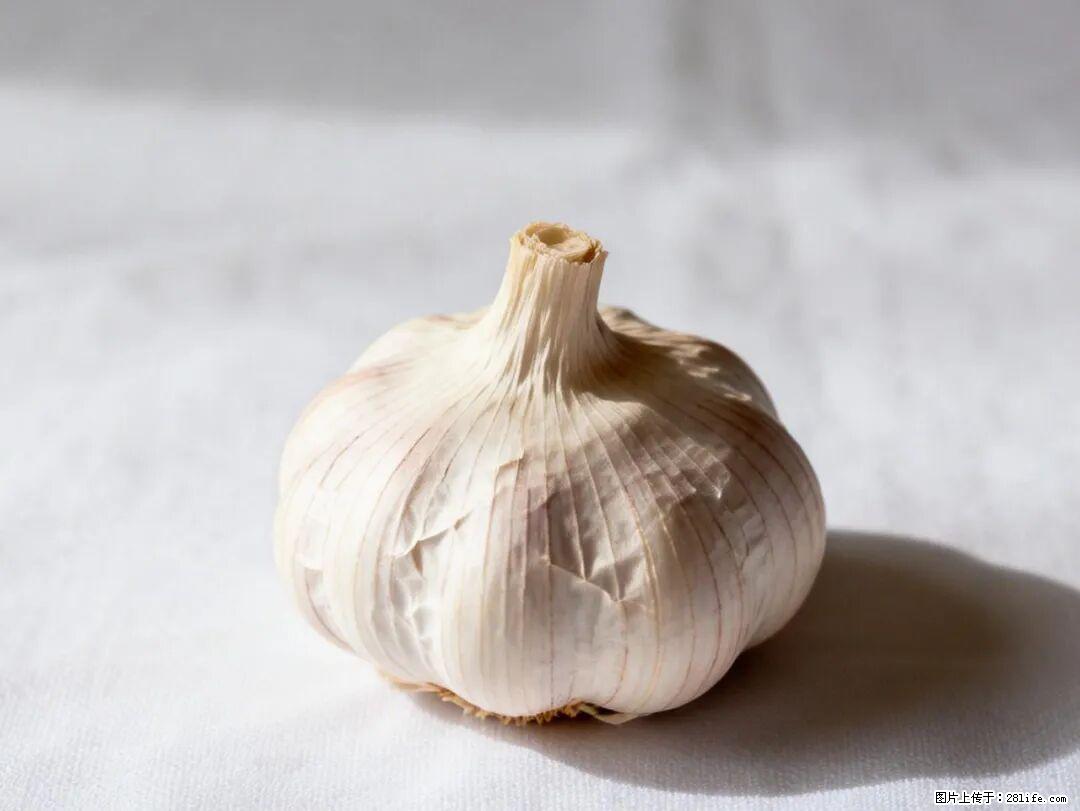 关于大蒜,除了“天然抗生素”,这4个谣言更该警惕! - 四平生活资讯 - 四平28生活网 sp.28life.com
