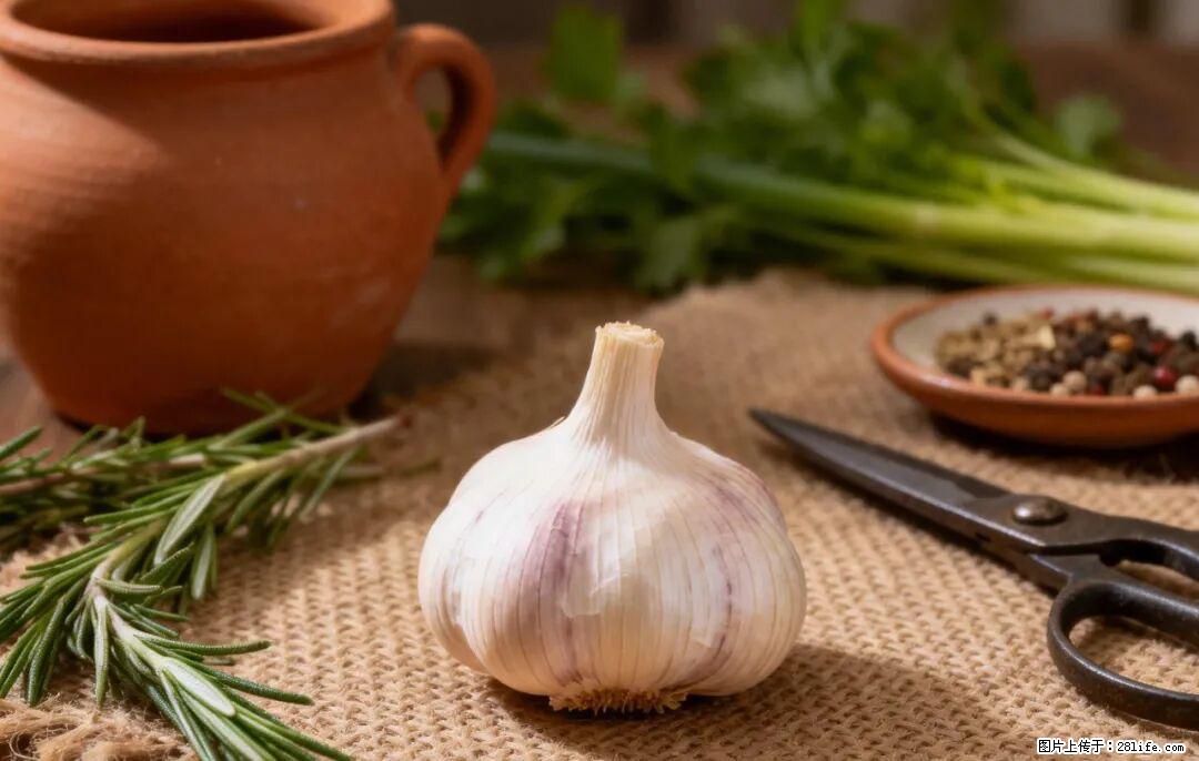 关于大蒜,除了“天然抗生素”,这4个谣言更该警惕! - 四平生活资讯 - 四平28生活网 sp.28life.com