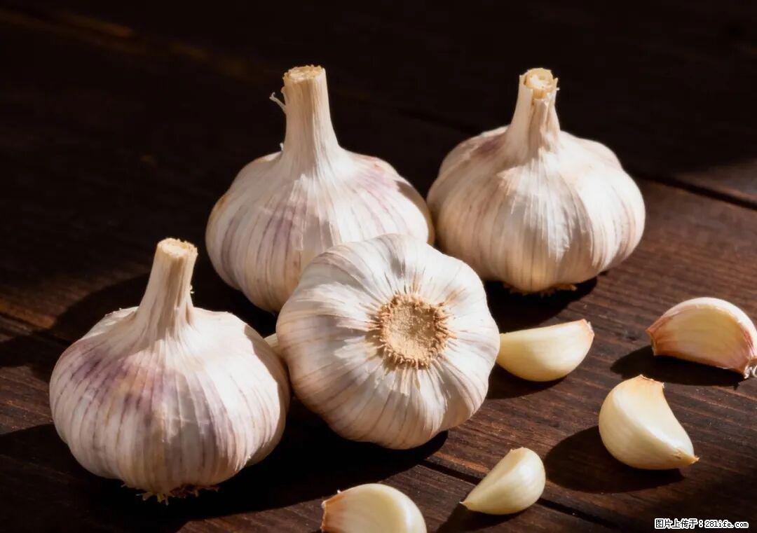 关于大蒜,除了“天然抗生素”,这4个谣言更该警惕! - 四平生活资讯 - 四平28生活网 sp.28life.com