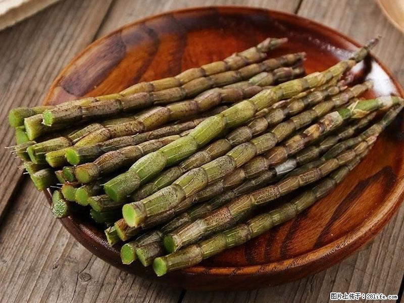 铁皮石斛的作用与功能主治 - 四平生活资讯 - 四平28生活网 sp.28life.com