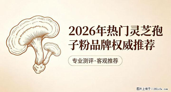 灵芝孢子粉含量越高越有效？2026 年七款热门品牌深度实测，肠胃敏感者避坑指南 - 四平生活资讯 - 四平28生活网 sp.28life.com